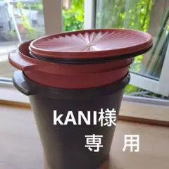 【超貴重】マキシデコレーター　新品未使用‼︎ Tupperware タッパーウェアマキシデコレーター