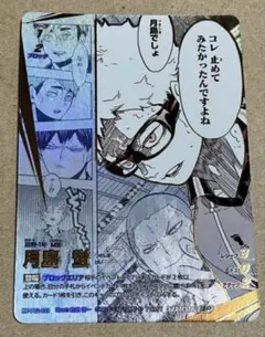 ハイキュー バボカ 月島蛍 頂P 最強の挑戦者　カード