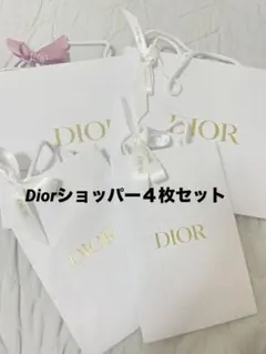 Dior ショッピングバッグ 4枚セット