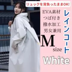 Item thumbnail for item 618ad047-a3fa-4019-a2ea-5c7cd91fa7e4