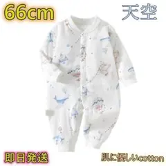 Item thumbnail for item 90f907e1-b838-4be0-b37e-07374076976e