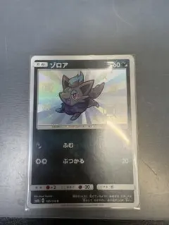 1926.【美品】ポケモンカード ゾロアS 色違い sm8b 185/150 - メルカリ