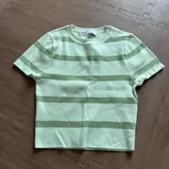 ZARA ライトグリーン ストライプ M レディース 半袖ニット ショート丈