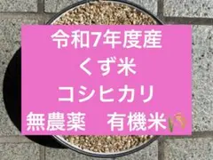 有機米　令和7年産　コシヒカリ　くず米　1.5kgのサムネイル