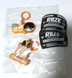 RIIZE ガチャ ぷっくりめじるしアクセサリー ソンチャン ウラッバム