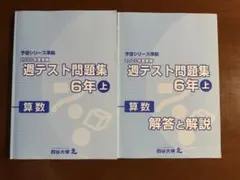 2026年最新】四谷大塚週テスト問題集4年の人気アイテム - メルカリ