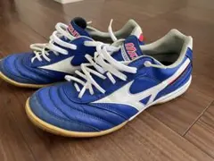 モレリアIN 24.5