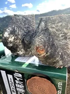 Item thumbnail for item 1461f303-5666-437b-8422-01a04edc54dd