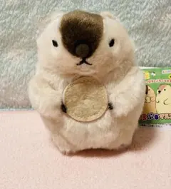 2026年最新】マーモットのもっとっと はまもとの人気アイテム - メルカリ