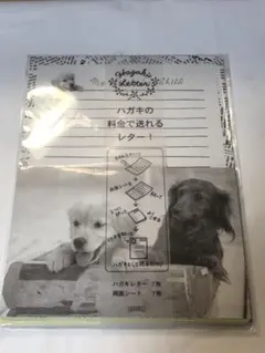 新品　ハガキレター　レトロ　犬