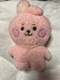 BT21 COOKY たっとん