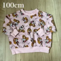 パウパト スカイ ピンク トレーナー 100cm