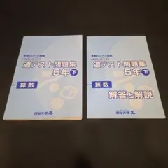 2026年最新】四谷大塚 週テスト問題集 5年の人気アイテム - メルカリ