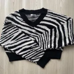 INGNI ゼブラ柄 Vネック ニット