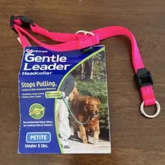 Item thumbnail for item b8654ccd-c5a0-4464-abcb-5c904d30f4d6