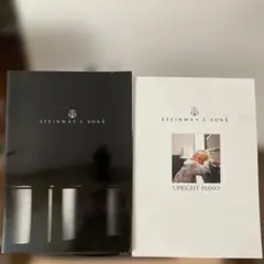 2025年最新】steinwayの人気アイテム - メルカリ