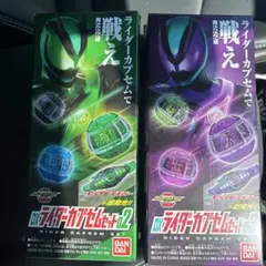 DXライダーカプセムセット02 03 2点セット