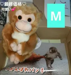 パンチくんの市川市動植物園　ぬいぐるみM　ハッピーズー♡日本猿新品未使用保管品のサムネイル