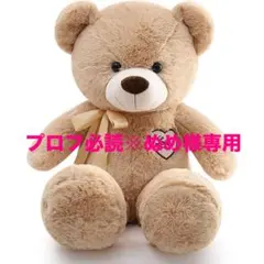 プロフ必読※ぬめ様専用 ③