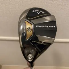 2025年最新】 パラダイム ユーティリティ ヘッドのみの人気アイテム