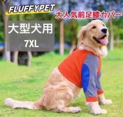 Item thumbnail for item adb9be6e-824e-4132-8f05-ec4434754e8c