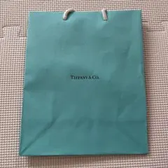 Item thumbnail for item 3c901e62-3721-492e-83e7-4868b4f5175d