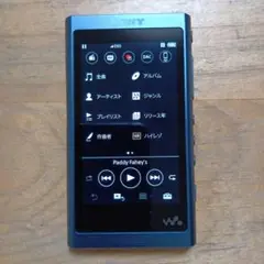 未使用 SONY ウォークマンNW-A55HN 16GB 413PY7w0EjL.jpg