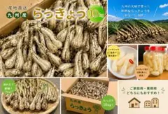 お値下げOK 九州産 らっきょう 10kg 産地直送 - メルカリ
