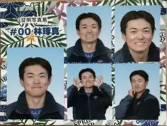 2026年最新】林琢真の人気アイテム - メルカリ