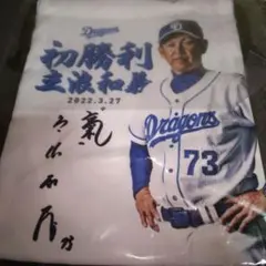 中日ドラゴンズ 立浪和義監督 ロゴ入りクロス封入 フォトパネル 2025年最新】立浪監督の人気アイテム - メルカリ