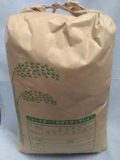 ブランド新潟県産コシヒカリ『朱鷺』新潟県産こしひかり 10kg (5kg×2袋