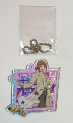 2026年最新】八神ヒカリ＆テイルモンの人気アイテム - メルカリ
