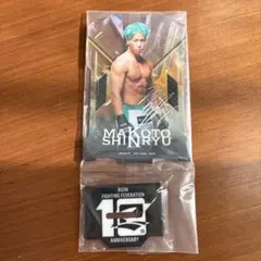 Item thumbnail for item 6db8e8d2-6f66-4767-81a8-7c5692be9a18