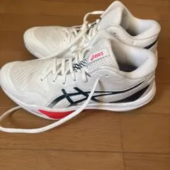 2026年最新】SKY elite ff 3の人気アイテム - メルカリ