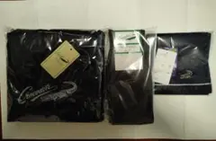 Item thumbnail for item 1d9c2002-9f89-406d-bb00-9c1f17e06e8e