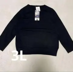 Item thumbnail for item 56bec500-7a92-4bb6-9c58-132d6aa918f0