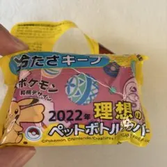 Item thumbnail for item dc3571f9-735e-4662-a9d1-b140c60a47b2