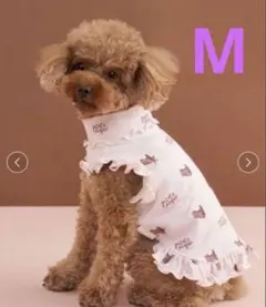 ジェラートピケ 【CAT&DOG】オータムケーキ柄プルオーバー　Mサイズのサムネイル