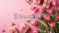 愛ちゃん様専用·͜· ︎︎ᕷ