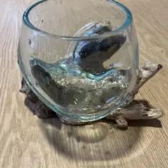 流木台座付きガラス容器