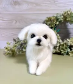羊毛フェルト　羊毛犬　リラックスマルチーズのサムネイル
