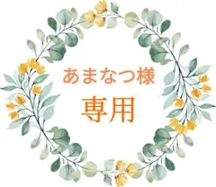 ❣️あまなつ様❣️