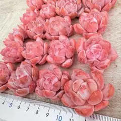 shranpa様 リクエスト 3点 まとめ商品