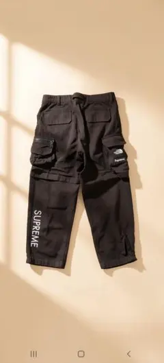 2026年最新】supreme cargo work shortの人気アイテム - メルカリ