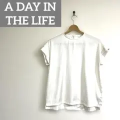 美品　アデイインザライフ　ヴィンテージサテン　白　Tブラウス　フリーサイズ