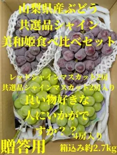 山梨県産ぶどう　美和姫　共選シャイン　4房入り箱込み約2.7kg