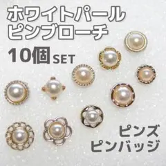 パール ピンブローチ 10個セット ピンバッジ ピンズ 10種 ミニ