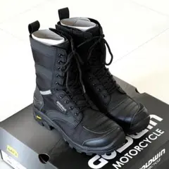 GOLDWIN Gベクター　ライディングシューズ　30cm 2026年最新】goldwin gベクターライディングシューズの人気アイテム