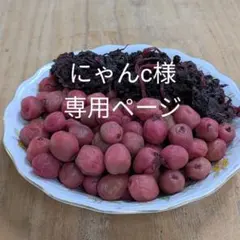 【にゃんc様専用】小梅干し（400g）+赤紫蘇（100g） 無添加