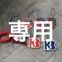 断捨離さん専用